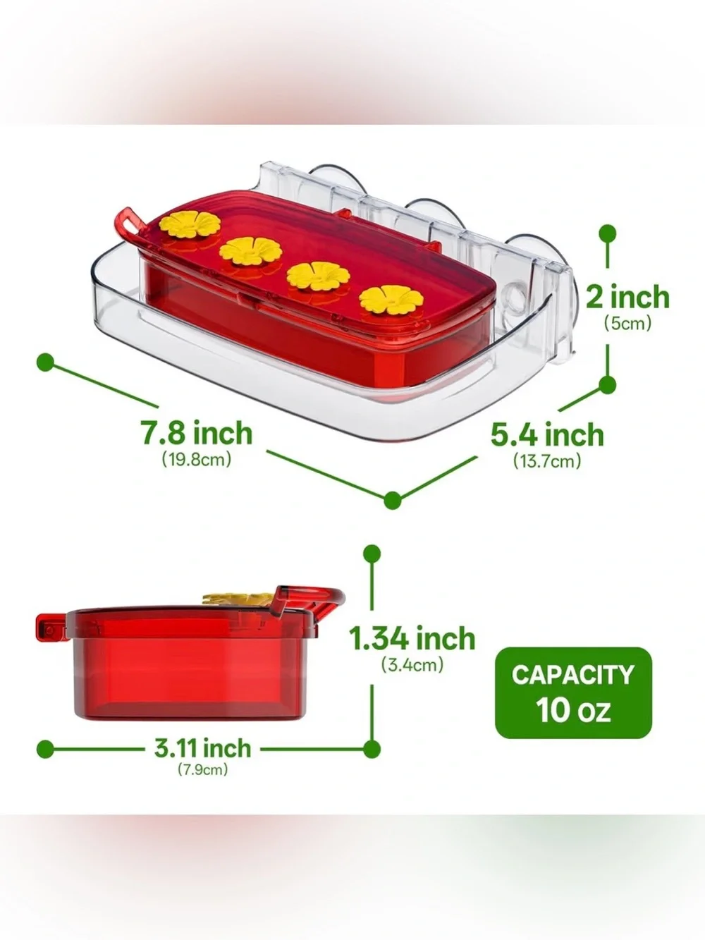 Window Hummingbird Feeder with Strong Suction Cups